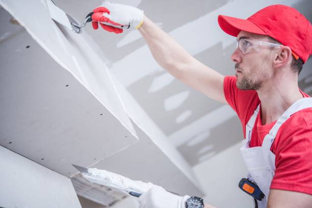 Best Forensic Mold Investigation  in Vernon Hls, IL
